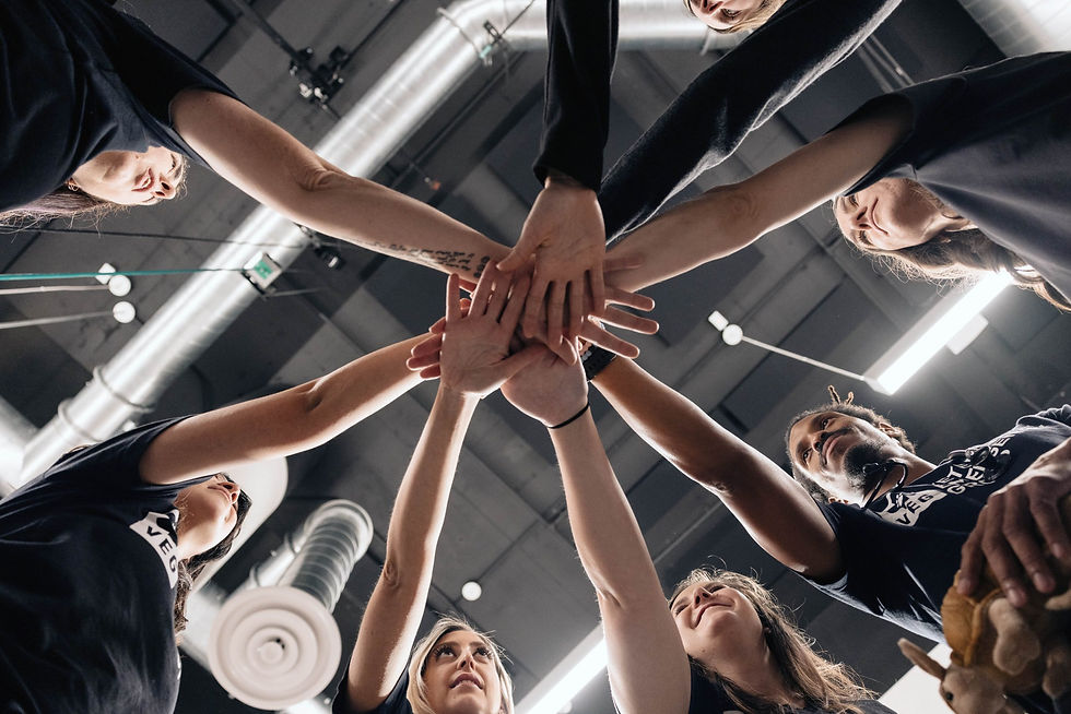 Low angle shot of the veterinary staff in a circle, with outstretched hands, one over the other in the center of their circle.
