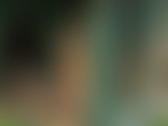 Two brown rabbits sit in a green cage, each looking in opposite directions. 