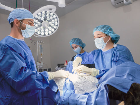 VEG doctors perform surgery on pet.