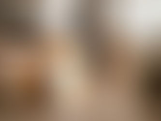 A dog looks at a counter that has human medication bottles on it.