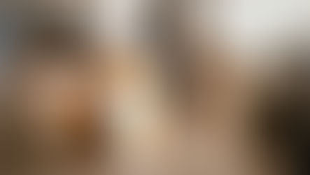 A dog looks at a counter that has human medication bottles on it.