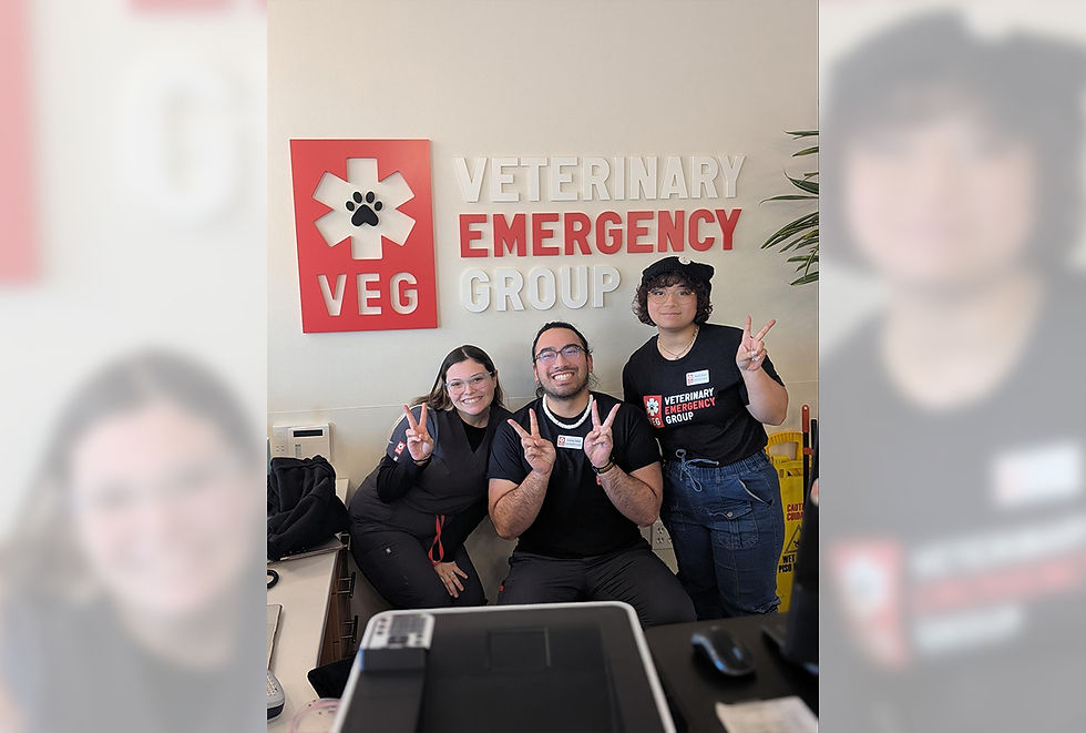 Three customer service coordinators at VEG ER for Pets smile for the camera.
