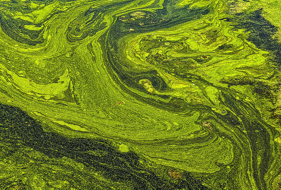 Water with a bright green, swirled appearance.