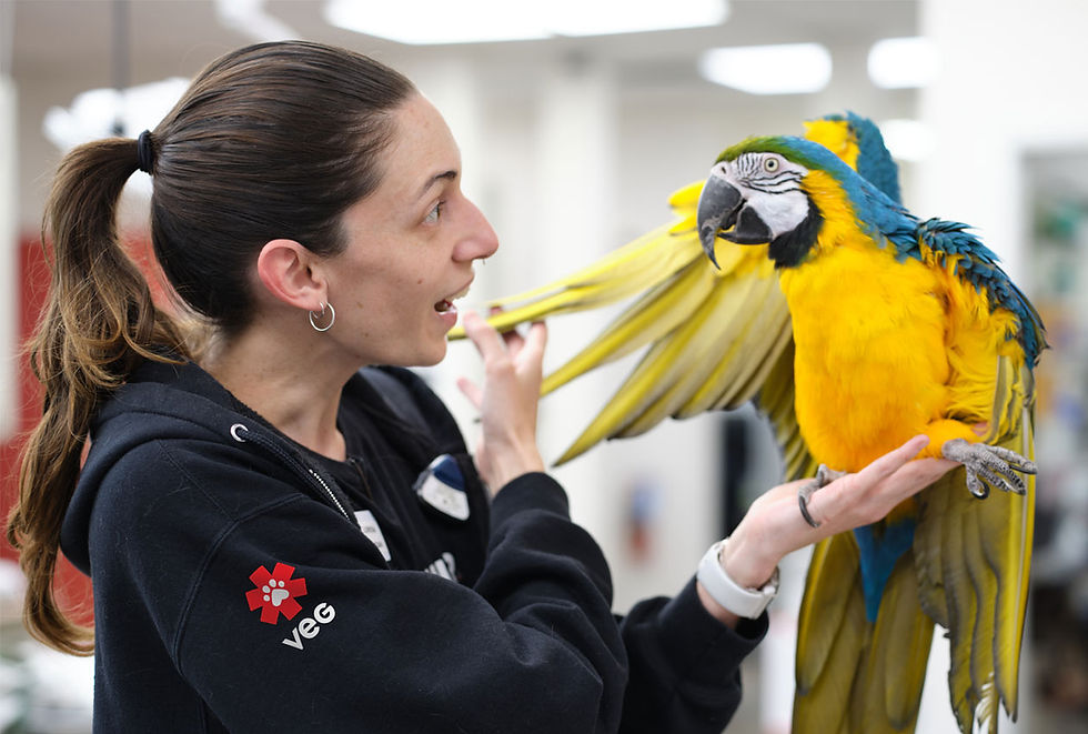 A vet at VEG ER for Pets smiles and holds a parrot in her hands.