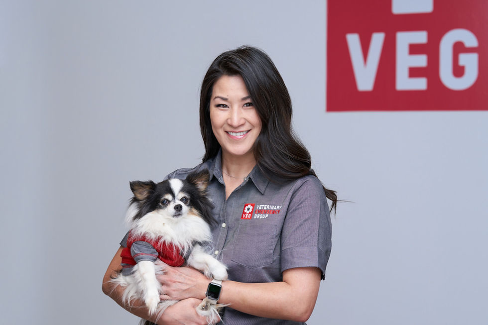 Karena Joung, Senior Hospital Director at VEG ER for Pets smiles at the camera while holding a white and black Pomeranian dog
Karena Joung, Senior Hospital Director at VEG ER for Pets smiles at the camera