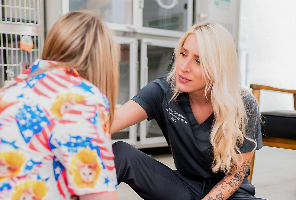 A veterinary staff worker and a pet owner sit on the floor of a vet hospital to discuss a patient.
