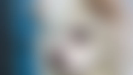 A white dog with a skin infection around the eyes.