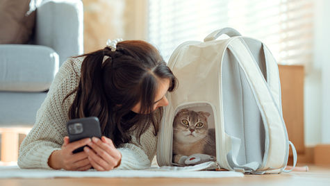 A cat and a woman rest on the floor and a blanket is above the cat, providing a tent over the cat