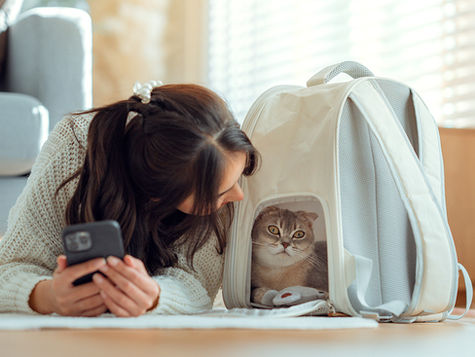 A cat and a woman rest on the floor and a blanket is above the cat, providing a tent over the cat