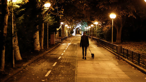 A view of a woman walking a small dog at night.
