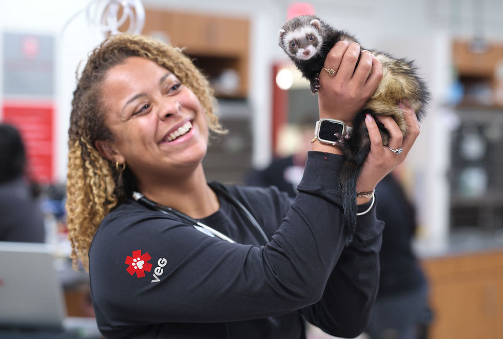 A smiling vet at VEG ER for Pets emergency vet hospital holds up a ferret.