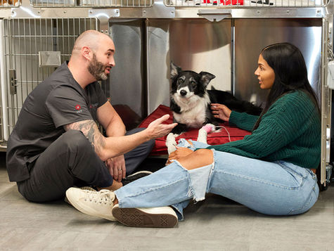 A dog sits on the floor with its owner and a vet at VEG ER for Pets animal hospital