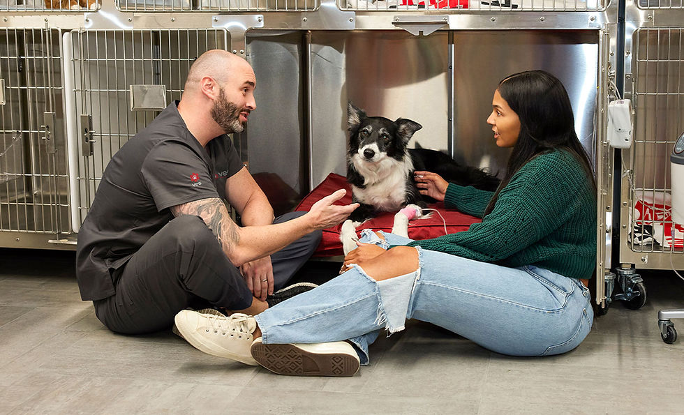 VEG ER for pets.png