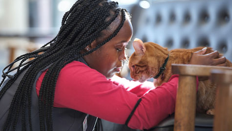 A woman holds her orange tabby cat and looks directly in the cat's face with a sad expression.