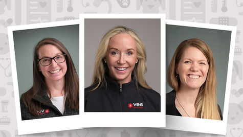 Three doctors of veterinary medicine smile in three separate photos