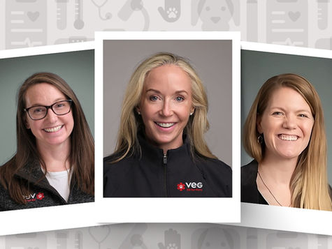 Three doctors of veterinary medicine smile in three separate photos