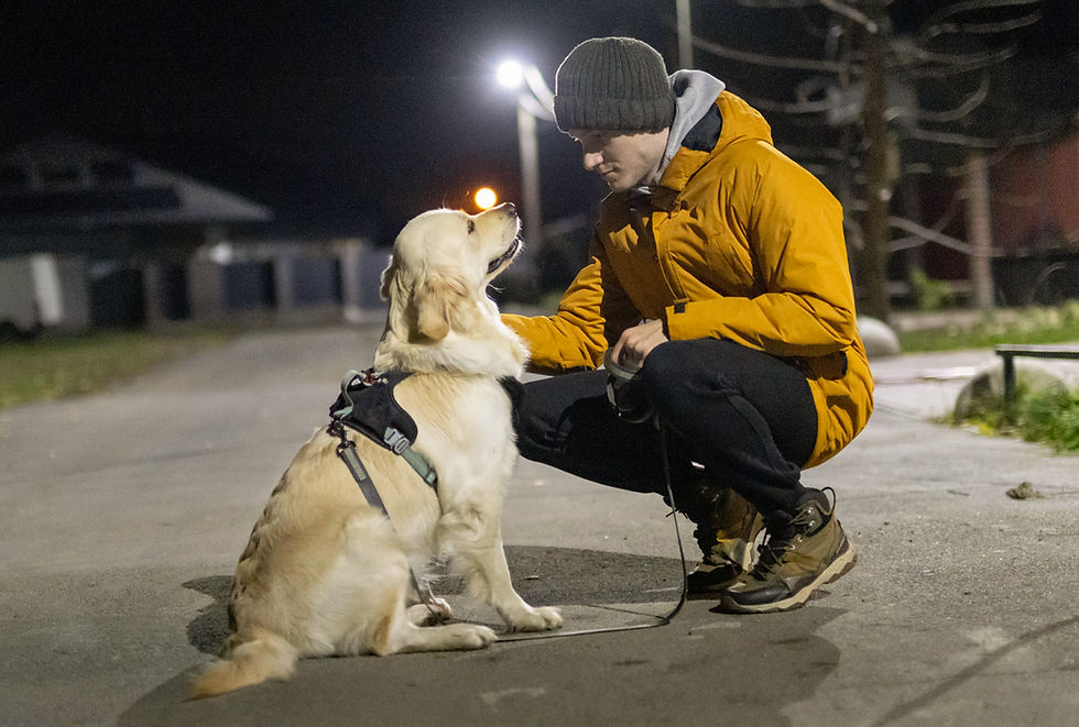 A dog in a harness and its owner wearing a jacket, outdoors at night.