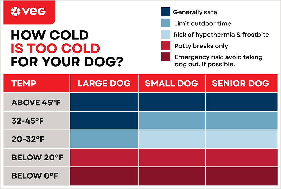 A chart titled How cold is too cold for your dog? shows various temperature thresholds for frostbite per dog type. 