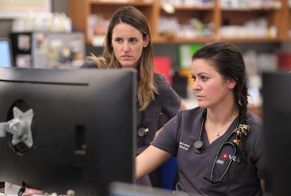 Two veterinarians at VEG ER for Pets review a patient's results on a computer screen.