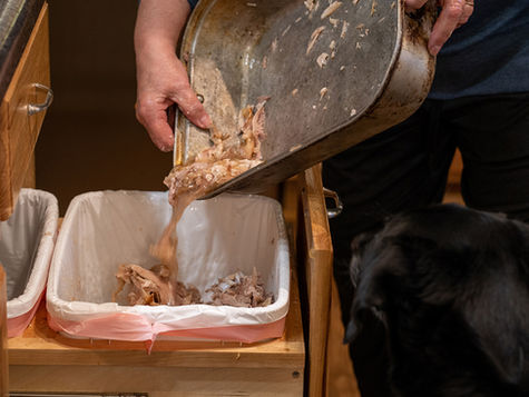 A person pours turkey pan contents into a garbage as dog watches