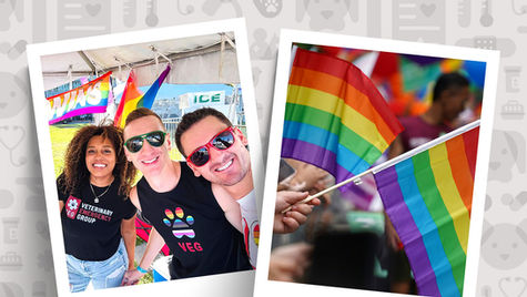 Three people smiling among rainbow flags and another image of hand holding two colorful rainbow flags