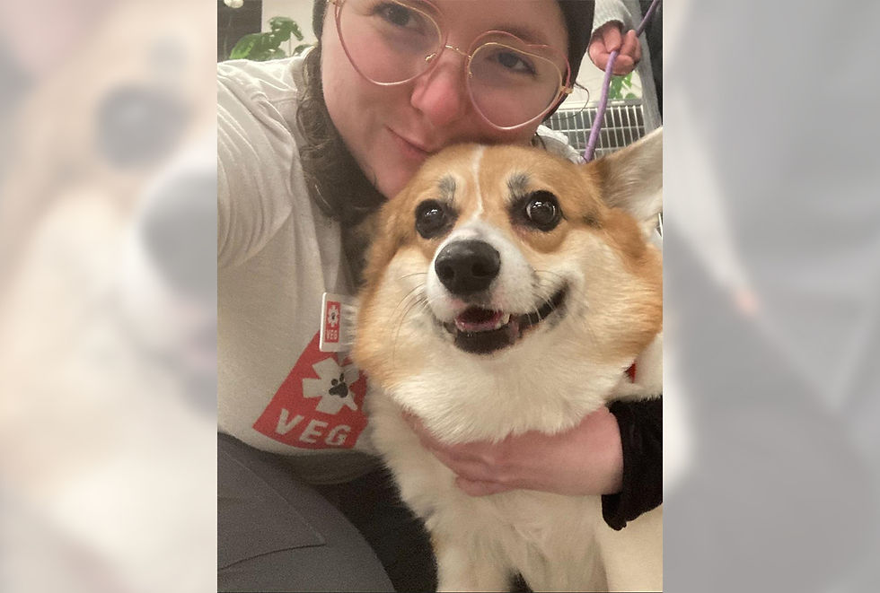 Veterinary employee in a white t shirt and gray pants holds a gold and white smiling dog.