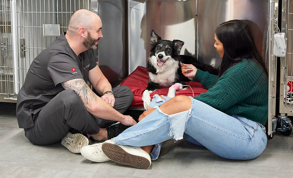 A vet sits on the floor with a dog patient ant its pet parent.