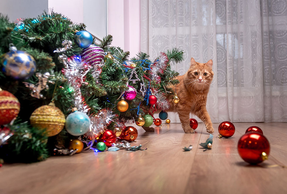 A cat walks near a toppled Christmas tree.