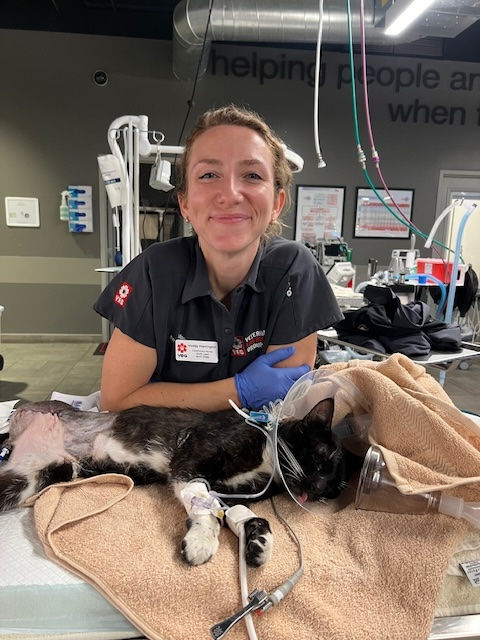 A veterinary nurse in scrubs smiles at the camera standing over a cat receiving oxygen.