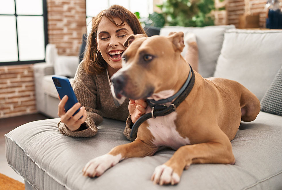 A woman smiles and holds a cell phone to take a picture of a large dog sitting next to her. 