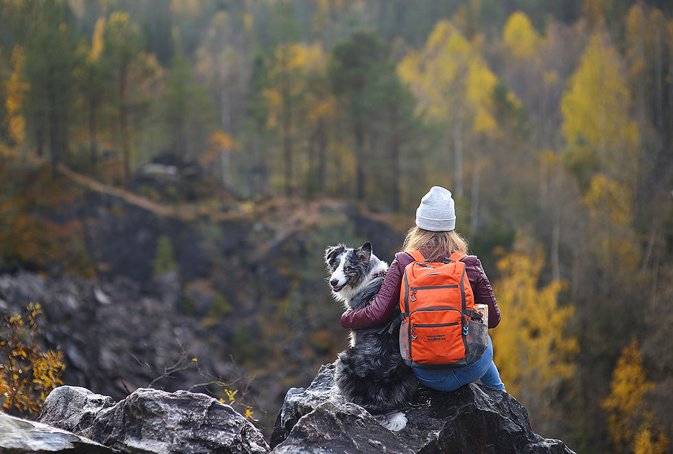 Hiking is great bonding time for you and your dog. Just understand the risks and keep VEG in your phone contacts in case of emergency. Call or walk in anytime; we're always open!
