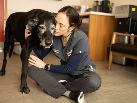 An older dog with signs of dementia is hugged by a veterinarian sitting cross-legged on the floor. 