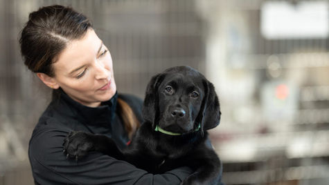 A smiling veterinary staff member in scrubs holds a black dog wearing a collar. 