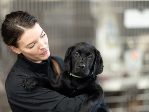 A smiling veterinary staff member in scrubs holds a black dog wearing a collar. 