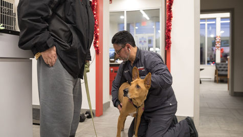 A veterinarian sits on the floor treating a dog in a hospital