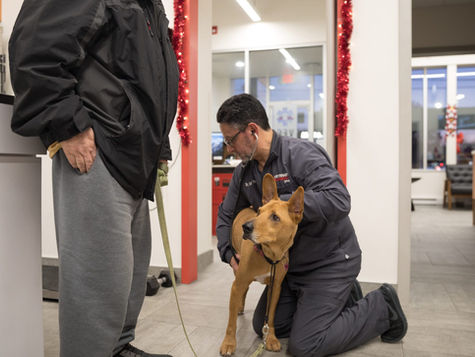 A veterinarian sits on the floor treating a dog in a hospital