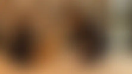 A dog with red eye is examined on the floor by a veterinarian in a vet hospital