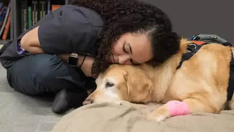 A veterinary staff member rests her head on a dog's head who is laying down
