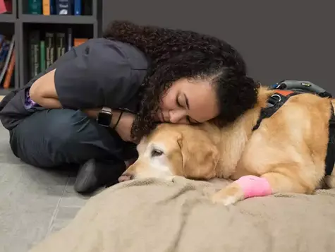 A veterinary staff member rests her head on a dog's head who is laying down