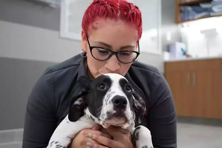 VEG ER for pets.png