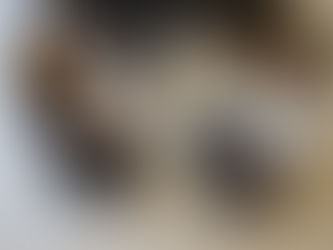 A dog with a possible concussion is seen by a vet at VEG ER for Pets