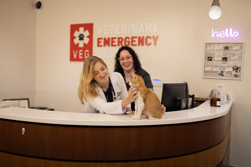 VEG ER for pets.png