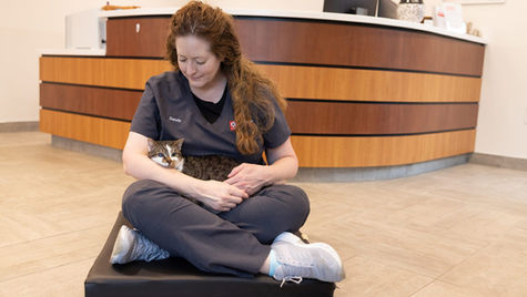 A black and white cat sits in the lap of a veterinarian who is sitting on the hospital floor