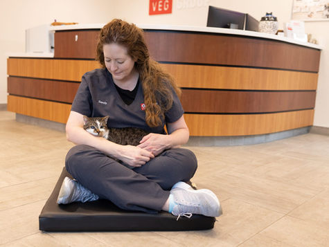A black and white cat sits in the lap of a veterinarian who is sitting on the hospital floor