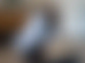 A cat with diabetes is examined by a vet at VEG ER for Pets