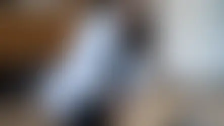A cat with diabetes is examined by a vet at VEG ER for Pets