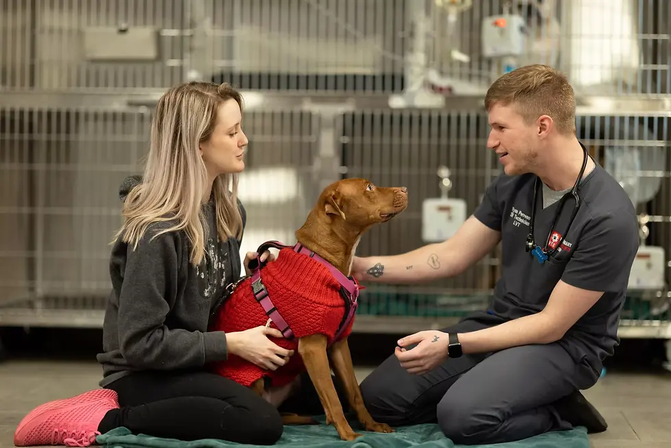 VEG ER for pets.png