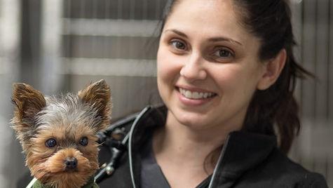 A dog and a veterinarian look at the camera.