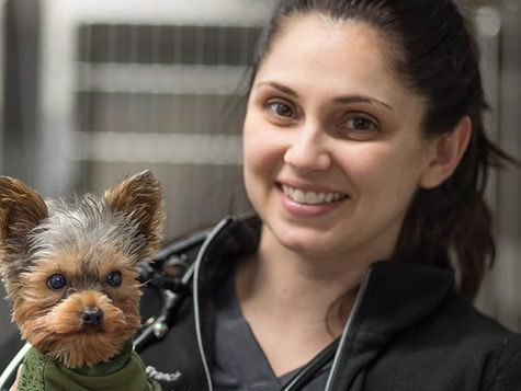 A dog and a veterinarian look at the camera.