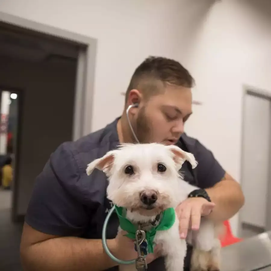 VEG ER for pets.png